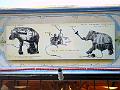 Diagram - Hippopotamus Dynamo, Rat, Elephant Horn